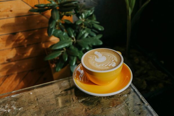 Découvrez les produits de beauté et de soins sur terre de beauté