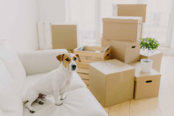 Quelles sont les clés pour choisir des escarpins confortables pour une réception prolongée?